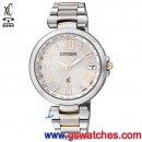 已完售,CITIZEN EC2004-54A(公司貨,保固2年):::xC Eco-Drive光動能電波時計,五局電波,萬年曆,EC200454A