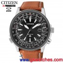 已完售,CITIZEN CB0135-07E(公司貨,保固2年):::PROMASTER,光動能,全球電波時計,鈦,H145,鈦金屬,萬年曆,藍寶石,刷卡或3期