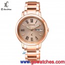 CITIZEN EW2422-55X(公司貨,保固2年):::xC 光動能系列,藍寶石鏡面,星期日期顯示,Hebe廣告款,免運費,刷卡或3期零利率,EW242255X