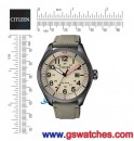 已完售,CITIZEN AW5005-12X(公司貨,保固2年):::Eco-Drive 光動能時尚男錶,日期顯示,10氣壓防水,AW500512X