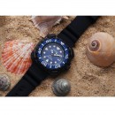 【金響鐘錶】現貨,CITIZEN BN0225-04L(公司貨,保固2年):::Promaster,光動能,鈦,日期,鯨鯊限定,防水性能水深200公尺,E168機芯,BN022504L