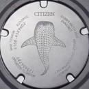 【金響鐘錶】現貨,CITIZEN BN0225-04L(公司貨,保固2年):::Promaster,光動能,鈦,日期,鯨鯊限定,防水性能水深200公尺,E168機芯,BN022504L