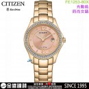 【金響鐘錶】預購,CITIZEN FE1253-80X(公司貨,保固2年):::Eco-Drive,光動能,時尚女錶,5氣壓防水,強化玻璃,日期顯示,J710機芯,FE125380X