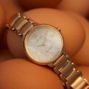 【金響鐘錶】現貨,CITIZEN EM0929-81Y(公司貨,保固2年):::CITIZEN L,光動能,藍寶石鏡面,5氣壓防水,E031機芯,EM092981Y